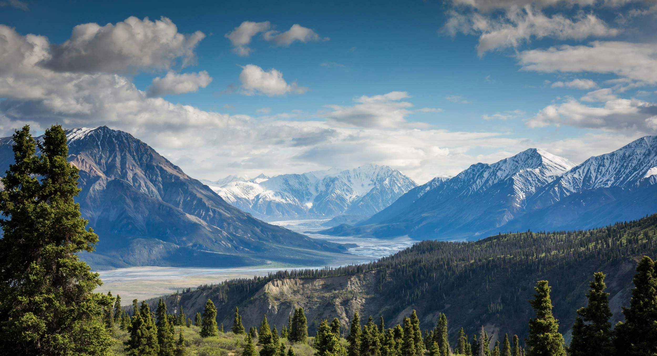 Law firm ROI tracking AI marketing background