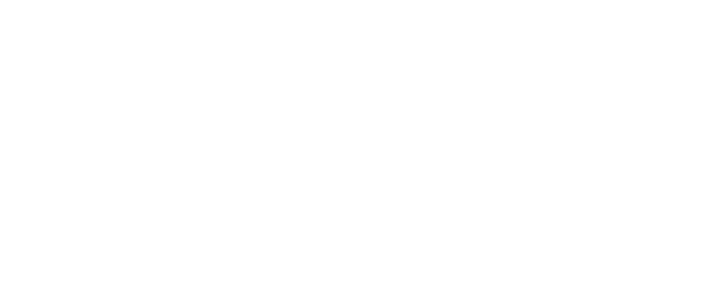 Google Partner